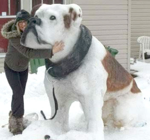 Gone to the Dogs